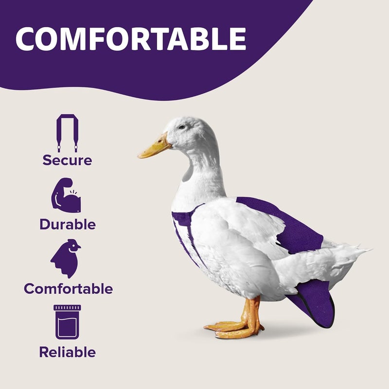 Holster Wrap-Around Duck Diaper with Removable Liner & Adjustable Tab – Pekin Duck Diapers for Pet Ducks, Bird Diaper, Duck Accessories – Durable, Secure Fit, Easy-to-Wear - Made in USA - Purple - Image 4